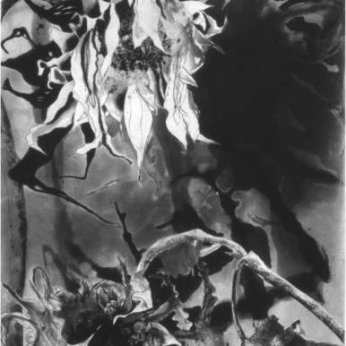 "Sunflower V," Intaglio, 36” x 28”